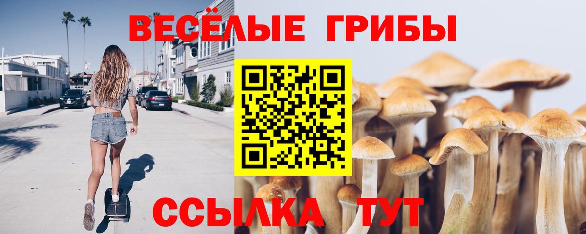 Псилоцибиновые грибы мухоморы  Вход с VPN  Псилоцибиновые грибы мицелий  Кимры 